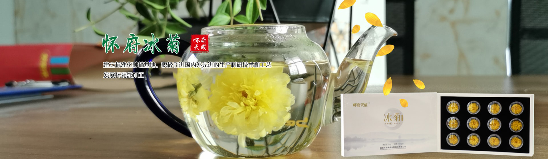 温县怀府天成生物科技有限公司